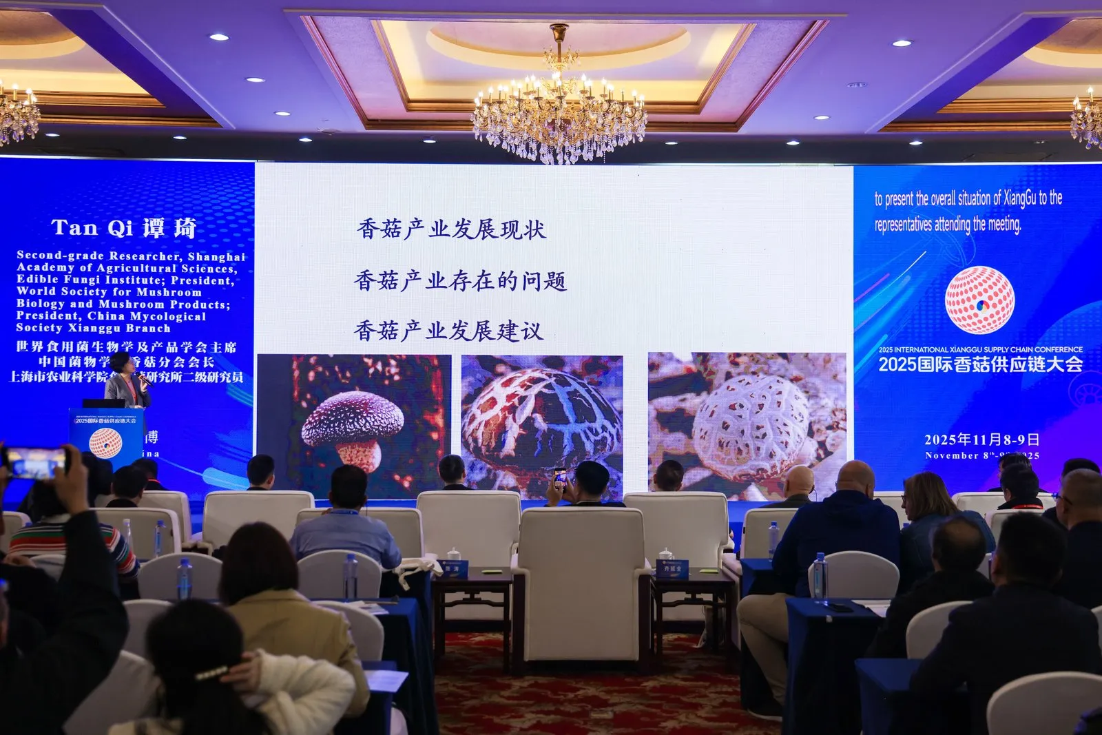 七河，以菇为媒，连接全球：2025国际香菇供应链大会在山东淄博隆重开幕12.webp 