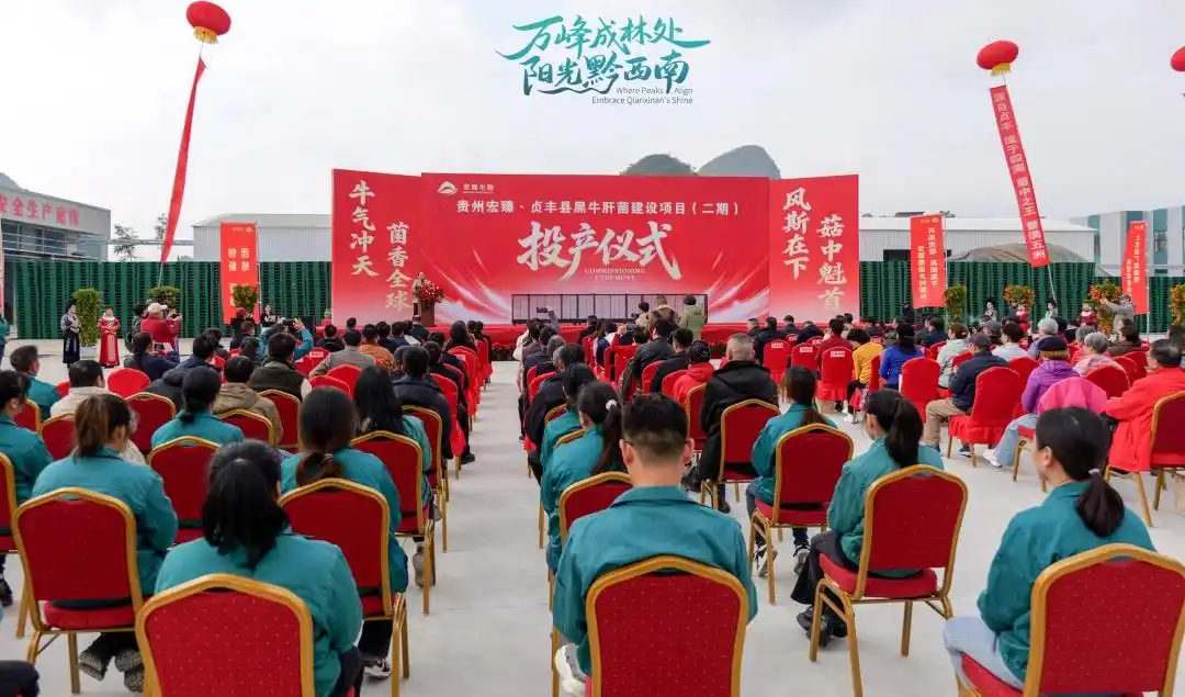黔西南貞豐建成國內規模最大黑牛肝菌工廠化生產基地02.webp