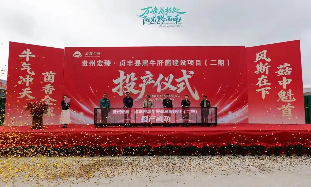 黔西南貞豐建成國內規模最大黑牛肝菌工廠化生產基地03.webp 