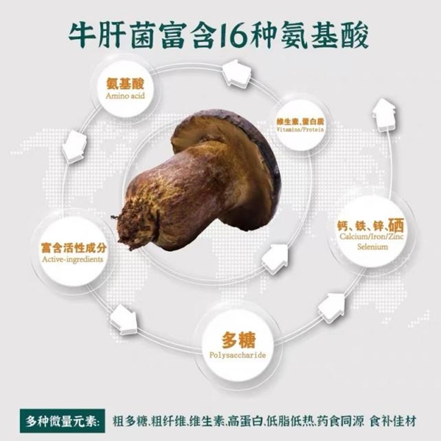 黑牛肝菌的“高端食材”新哲學02.png